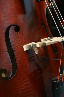 Realist LifeLine Upright Bass Pickup