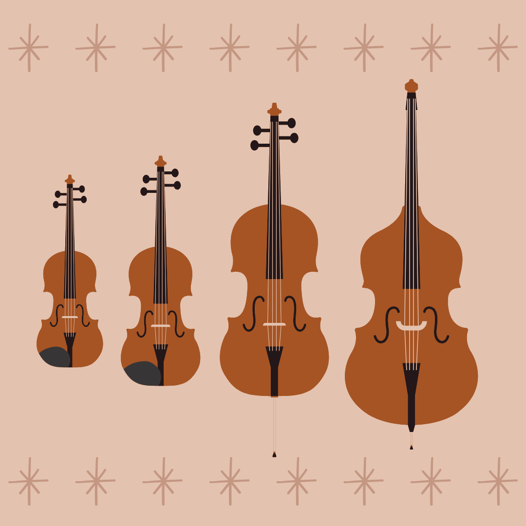 Logistics of Choosing an Instrument – K.C. Strings