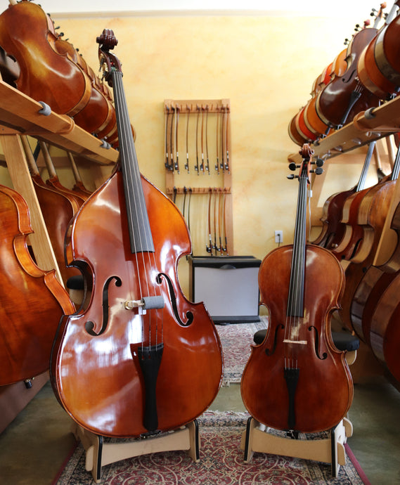 The Story of the Bass and Cello