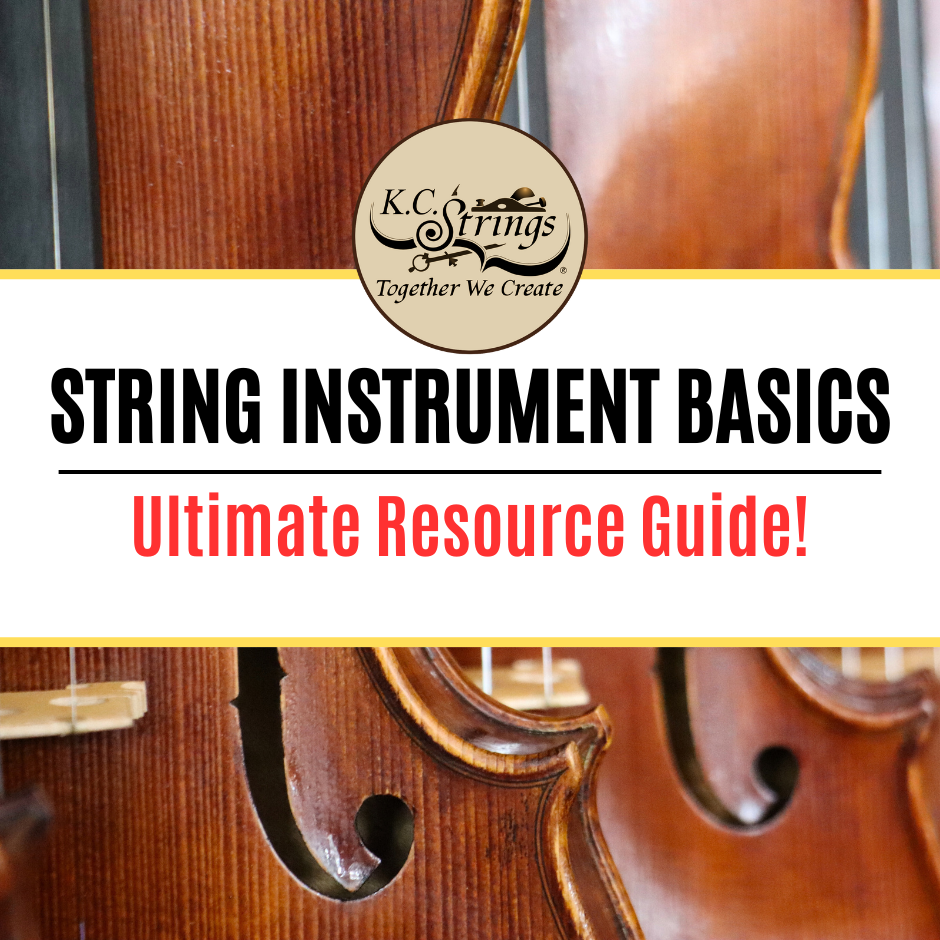 String Instrument Basics - Ultimate Resource Guide – K.C. Strings