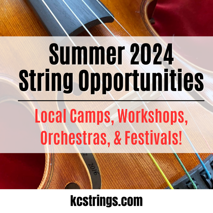 Summer 2024: Local Camps, Workshops, Orchestras & Festivals