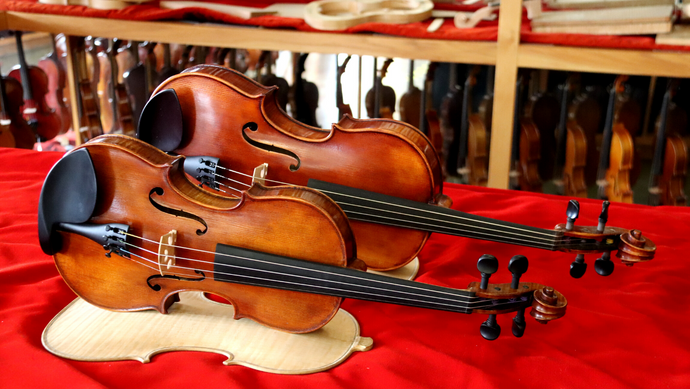 What Are the Differences between the Violin and Viola?